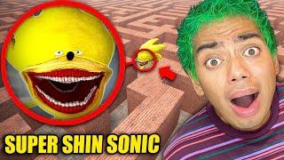 Drone Catches SUPER SHIN SONIC in a MAZE  SHIN SONIC IS REAL [upl. by Killarney316]