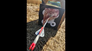 REK Broadhead Review [upl. by Idnis552]