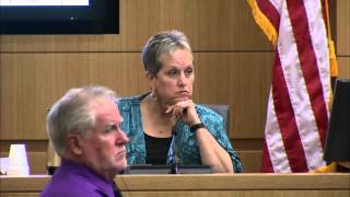 Jodi Arias Murder Trial  Day 42  Part 2  Juan Martinez cross of Alyce LaViolette [upl. by Malamud]