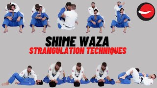 Shime Waza  Strangulation Techniques [upl. by Palm]