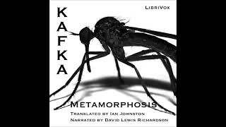 1915 The Metamorphosis by Franz Kafka Complete full free audio book [upl. by Rodgers]