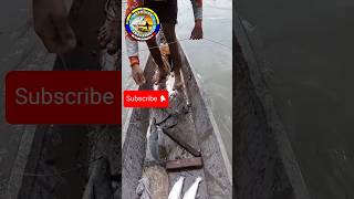 Pesca con calandro a ogado 😱 buenapesca fishing pescaderia fish pescadeportiva viral [upl. by Cherrita948]