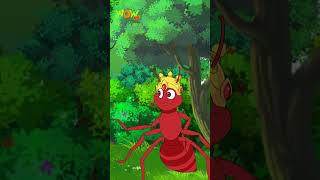 Hathi Aur chinti  06  Popular Hindi Stories for Kids  Wow Kidz  CM [upl. by Cornela]