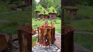 la plus belle maison de la jungle shorts viralvideo shortsfeed [upl. by Ymar]