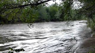 CRECIDA DEL RIO SANTA ROSA EN CALAMUCHITA [upl. by Ghiselin]