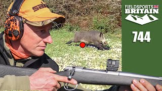 Fieldsports Britain – Wild boar frenzy [upl. by Debora]