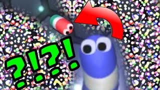 43K Slitherio TRIPLE TRAP TROLLING  Slitherio Top Player Gameplay Funny Moments [upl. by Ahsaet501]