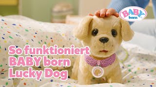 Lucky Dog von BABY born Laufen trinken Pipi machen amp mehr 😍🐶  BABY born [upl. by Marra]