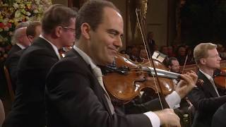 Vienna Philharmonic  New Years Concert 2019 Highlights [upl. by Naashom]