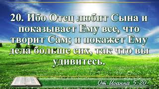 ВидеоБиблия Евангелие от Иоанна без музыки глава 5 читает Бондаренко [upl. by Sessylu561]