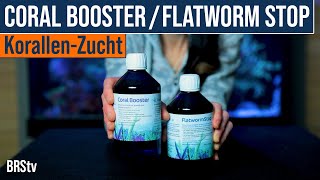 Acro Eating Flatworms Try These Tips And KZ Flatworm Stop amp Coral Booster In Your Reef Tank FIRST [upl. by Secrest]