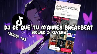 DJ CE QUE TU MAIMES BREAKBEAT Slowed amp Reverb [upl. by Wane]