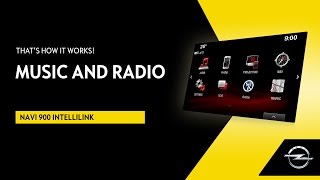 Navi 900 IntelliLink  Music and Radio  Thats How It Works [upl. by Ede]