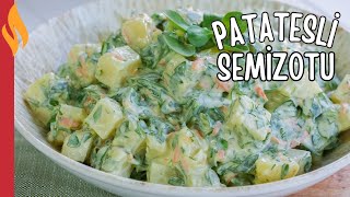 Patatesli Semizotu Salatası 😋 Favori Yaz Salatası Tarifi 💯 [upl. by Newman]