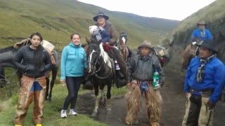 Bocina y Cabañal  Hrnos Soria en el paramo Palmira [upl. by Ivers]