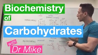 Carbohydrates  Biochemistry [upl. by Behm]