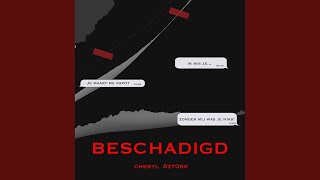 Beschadigd [upl. by Esma]