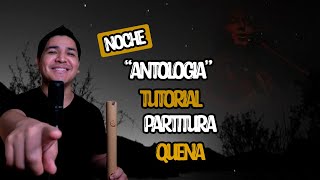 NOCHE ANTOLOGIA  QUENA  TUTORIAL [upl. by Delilah]