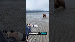 Ayı Saldırısına Karşı Şaşırtıcı Yöntem 🐻👨‍🦰📸❗️ [upl. by Wester507]