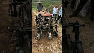 Pinellia Medicinal Material Harvester amp potatoes harvester [upl. by Sanoj]