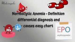 Normocytic Anemia  Pathophysiology  normocytic anemia symptoms  normocytic anemia treatment [upl. by Burkle]