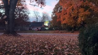 Cotton Candy Sky amp Leaves Falling on This Wednesday 102324 [upl. by Atenek]