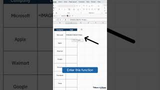 Inserting Company Logos Using the IMAGE Function in Excel [upl. by Lowndes]