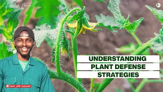 Understanding Plant Defence Strategies Functions of Trichomes in Plants [upl. by Ilrac]