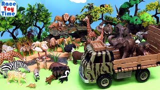 Lots of Schleich Wild Animal Toys  Learn Animal Names [upl. by Vannie]