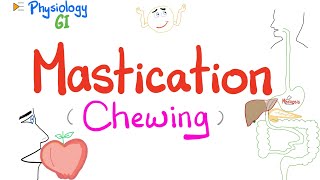 Mastication chewing   Mastication Reflex  Gastrointestinal Physiology [upl. by Letitia]