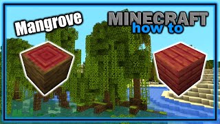 How to Find Grow and Use the Mangrove Tree 119  Easy Minecraft Tutorial [upl. by Buote920]