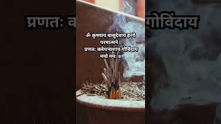 Powerful Krishna Mantra Krishnaya Vasudevaya Haraye Paramatmane Hare Krishna Meditation Mantra [upl. by Brew]