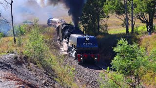 Garratt 6029 Climbs the Redbank Range to Thirlmere  Festival of Steam 2024 [upl. by Arlo]