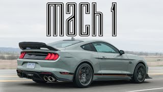 PERFECTION 2021 Ford Mustang Mach 1 Review [upl. by Aneloaup]