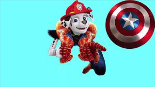 Coloring Paw Patrol transforming funny video For kids │Coloriage Pour Enfants [upl. by Claresta]