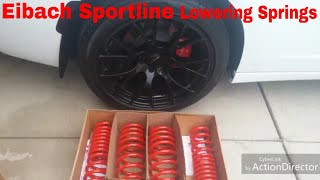 Getting The Eibach Lowering Springs Put On The Charger RT Part 1 [upl. by Niamor]