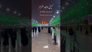 سميني عاشق مجنون امام حسین محمود الترکی  imam Hussein [upl. by Casmey764]