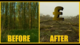 WOODLAND DESTROYED Despite Endangered Species  Redditch Worcestershire UK [upl. by Latif]