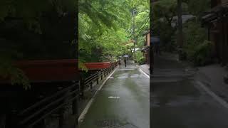 日本 日本旅游 专业地导游 旅行攻略 日本司导 图文 你不要我的那天晚上 我哭了好久好久 情感 [upl. by Dorella]