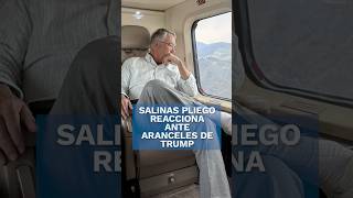 Esto piensa Salinas Pliego sobre la medida de aranceles de Donald Trump shorts [upl. by Anairdna755]