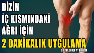 DİZİN İÇ KISMINDAKİ AĞRI İÇİN 2 DAKİKALIK UYGULAMA aktifizyo fiziktedavi dizağrısı [upl. by Zelde586]