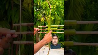 Bamboo made archery 🏹🔥😲 bamboo bow archery bamboogun satisfying bowandarrow bowmaker diy [upl. by Dlonra]