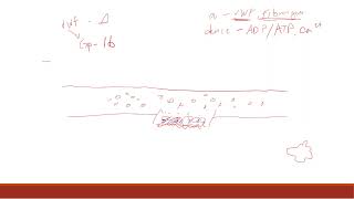 MTAP 2  HEMOSTASIS CRASH COURSE [upl. by Dafna]