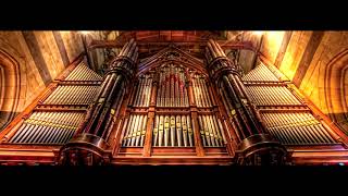 Me playing Chevaliers De Sangreal Organ [upl. by Addia954]