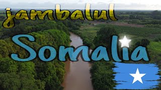 Beeraha dalka somalia🇸🇴 gaar ahaan tuulada JAMBLUL [upl. by Samul]