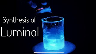 Luminol synthesis  Chemiluminescence [upl. by Garneau]