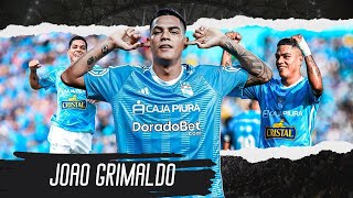 Joao Grimaldo ▶ Skills Goals amp Highlights 2024ᴴᴰ [upl. by Anaugahs]