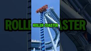 Which Roller Coaster [upl. by Ovatsug]