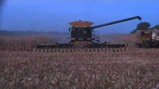 Geringhoff 24 row 20 inch corn head harvesting corn [upl. by Kuehn88]