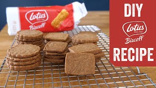 Homemade Biscoff Recipe [upl. by Pelson]